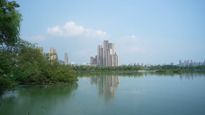 武汉汉阳区墨水湖公园实拍视频
