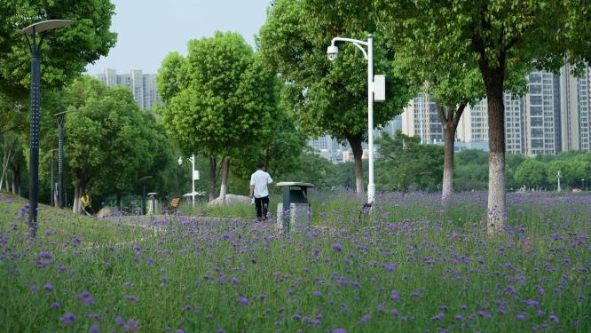 武汉汉阳区墨水湖公园实拍视频