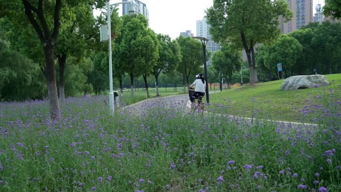 武汉汉阳区墨水湖公园实拍视频
