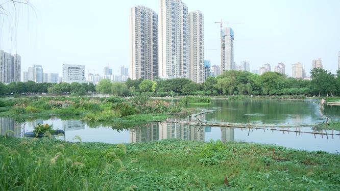 武汉汉阳区墨水湖公园实拍视频