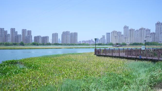 武汉洪山区杨春湖公园风景实拍视频