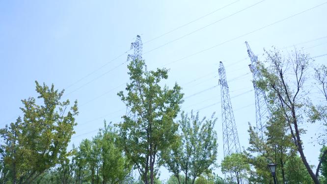 武汉洪山区杨春湖公园风景实拍视频