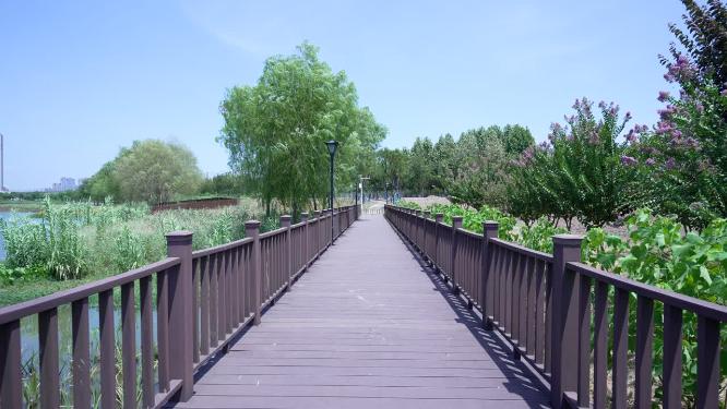 武汉洪山区杨春湖公园风景实拍视频