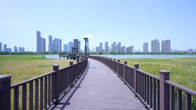 武汉洪山区杨春湖公园风景实拍视频