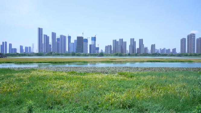 武汉洪山区杨春湖公园风景实拍视频