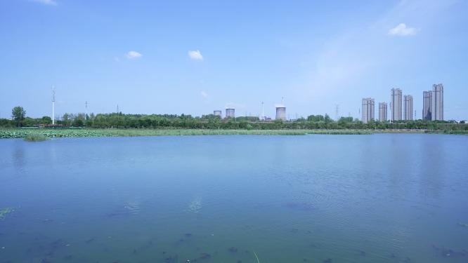 武汉洪山区杨春湖公园风景实拍视频