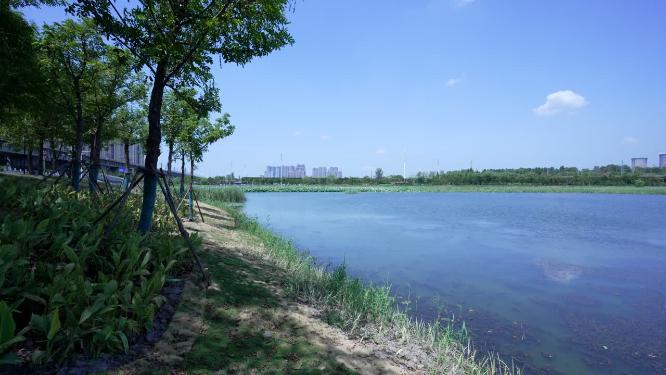 武汉洪山区杨春湖公园风景实拍视频