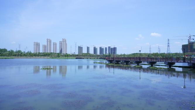 武汉洪山区杨春湖公园风景实拍视频