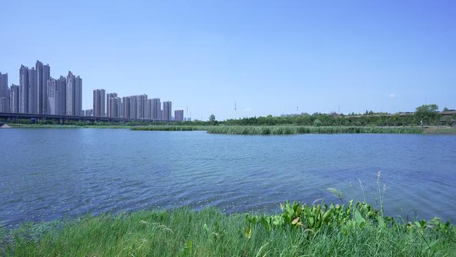 武汉洪山区杨春湖公园风景实拍视频