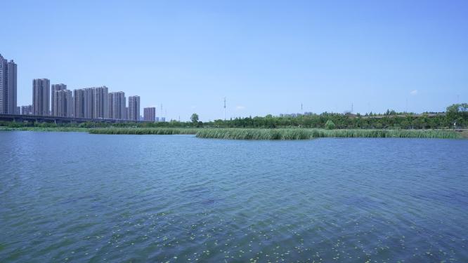 武汉洪山区杨春湖公园风景实拍视频