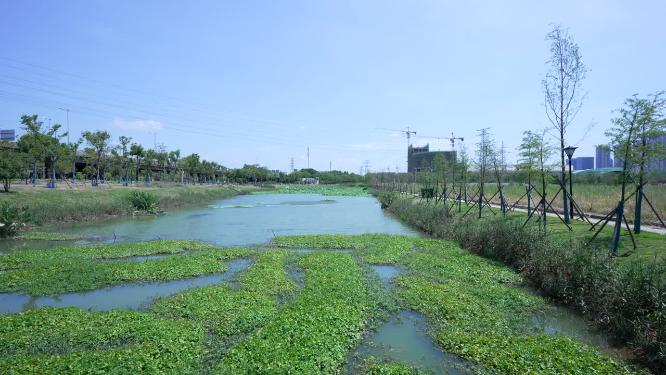武汉洪山区杨春湖公园风景实拍视频