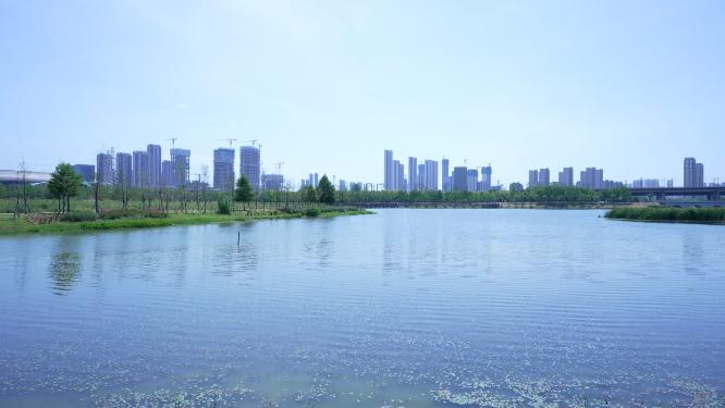 武汉洪山区杨春湖公园风景实拍视频