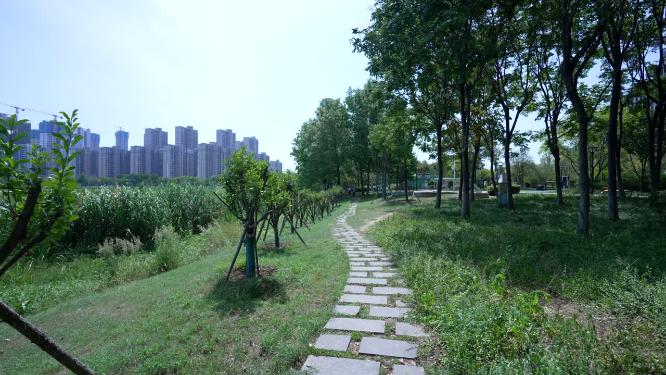 武汉洪山区杨春湖公园风景实拍视频
