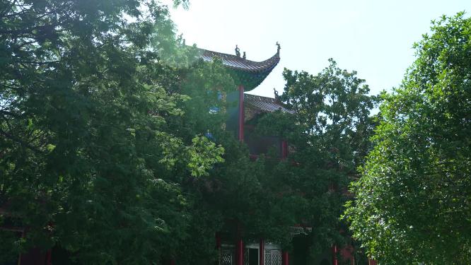 武汉汉阳区归元禅寺景点实拍视频