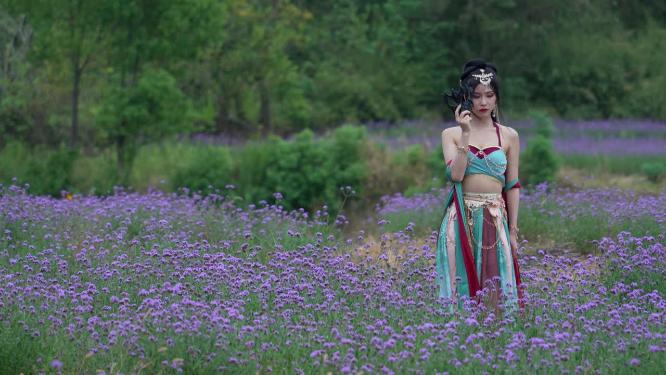 武汉洪山区光谷花海风景实拍视频