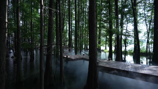 武汉洪山区落雁峰景区实拍视频