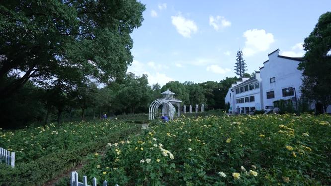 武汉洪山区落雁峰景区实拍视频