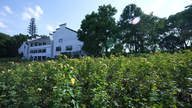 武汉洪山区落雁峰景区实拍视频