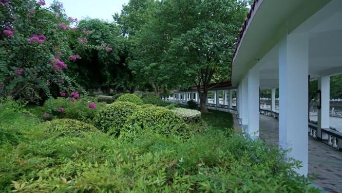 武汉江岸区小南湖公园实拍视频
