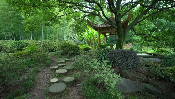 武汉洪山区东湖磨山景区实拍视频