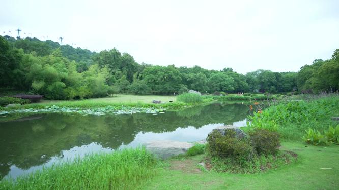 武汉洪山区东湖磨山景区实拍视频