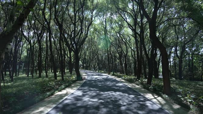 武汉洪山区落雁峰景区实拍视频