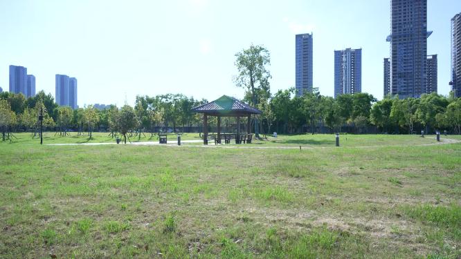 武汉江岸区汉口江滩公园实拍视频