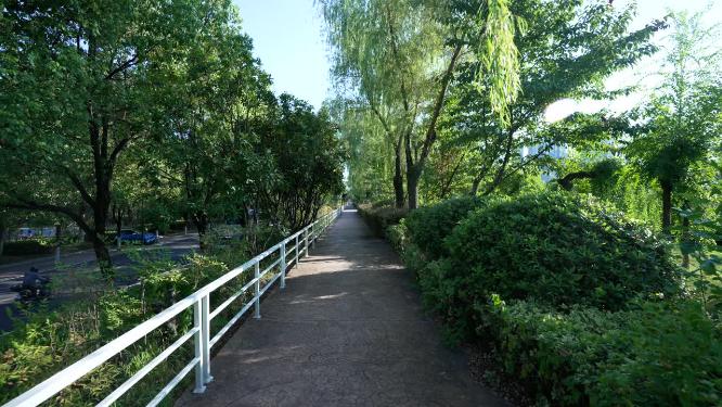 武汉江岸区汉口江滩公园实拍视频