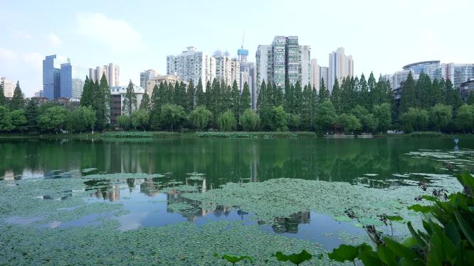武汉江岸区小南湖公园实拍视频