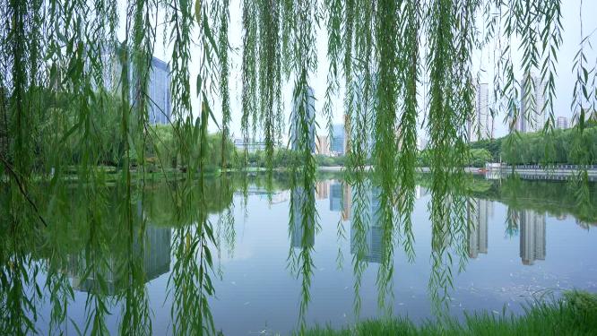 武汉江岸区后襄河公园实拍视频