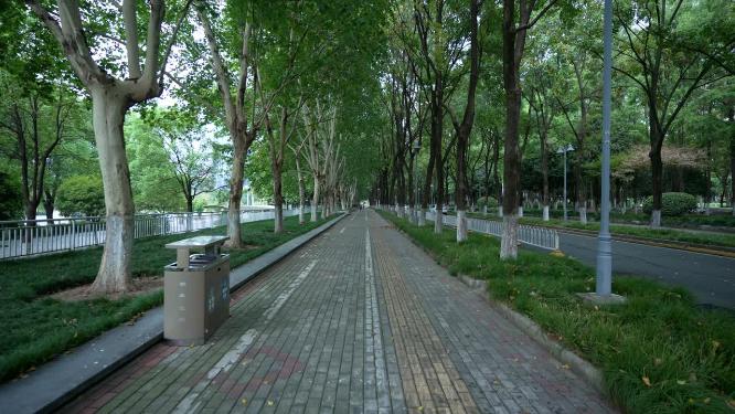 武汉江岸区后襄河公园实拍视频