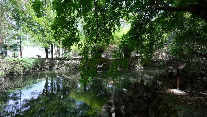 武汉江夏区白云洞景区实拍视频