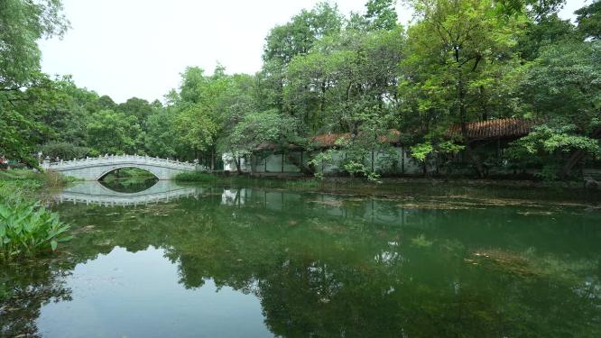 武汉江岸区解放公园实拍视频