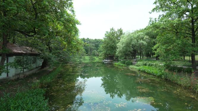 武汉江岸区解放公园实拍视频
