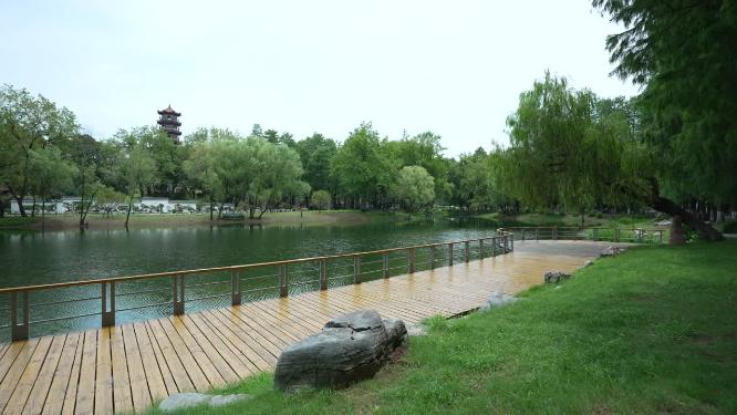 武汉江岸区解放公园实拍视频