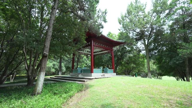 武汉江岸区解放公园实拍视频