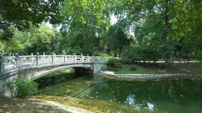 武汉江岸区解放公园实拍视频