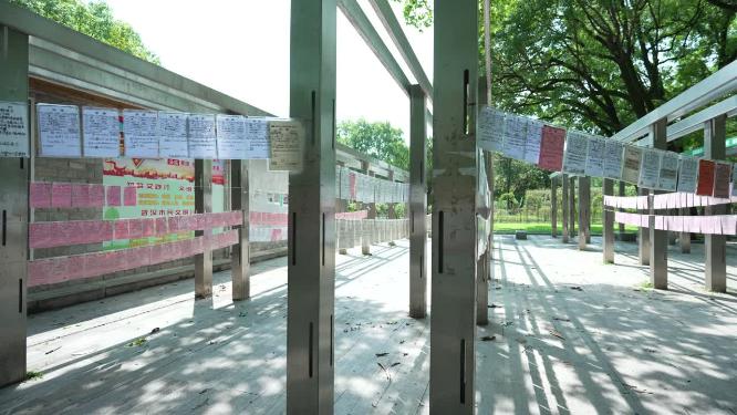 武汉江岸区解放公园实拍视频
