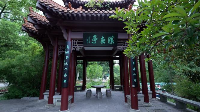 武汉江岸区中山公园实拍视频