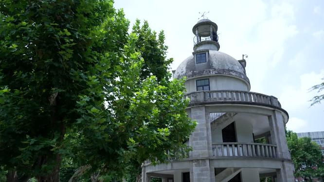 武汉江岸区中山公园实拍视频