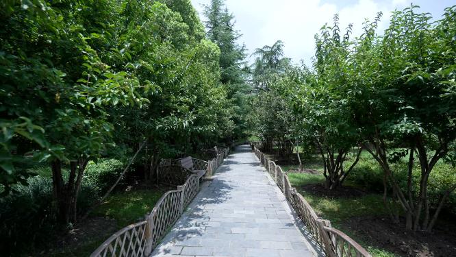 武汉江岸区中山公园实拍视频