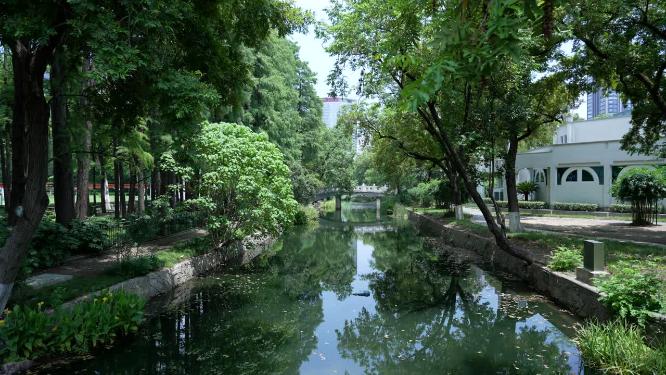 武汉江岸区中山公园实拍视频