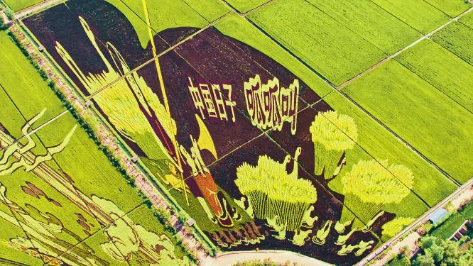 辽宁沈阳沈北新区稻梦空间航拍稻田画