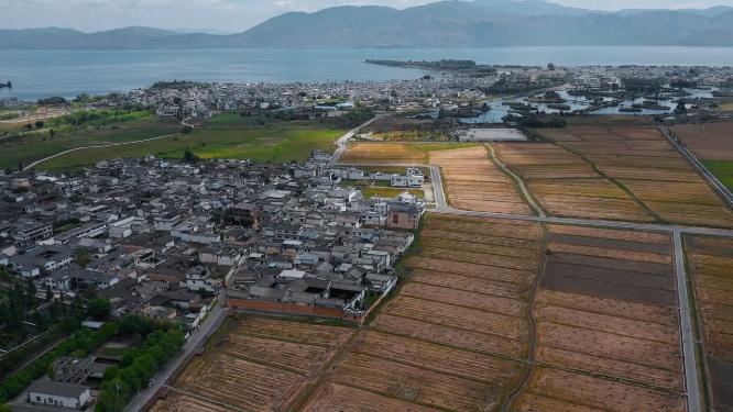 云南大理喜洲海舌码头农田视频农田农耕田野