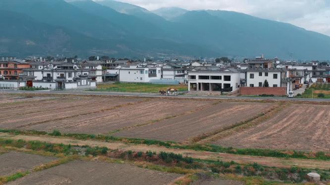 喜洲田园旅游观光公路航拍马车游客车辆