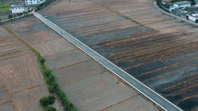 喜洲田园旅游公路上的车