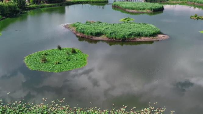 喜洲污水处理净化湿地航拍小岛