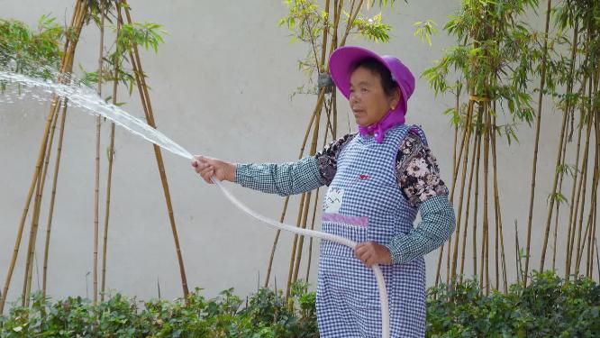 阿姨浇水