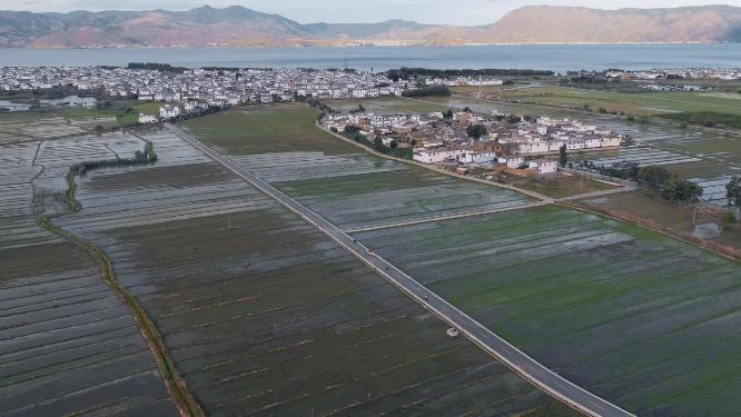 大理农田航拍