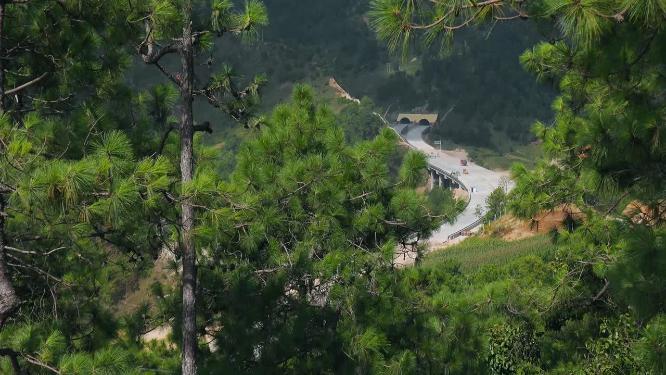 蜿蜒在山林中的高速公路施工现场